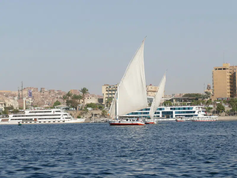 Aerial View of the Nile River (2)