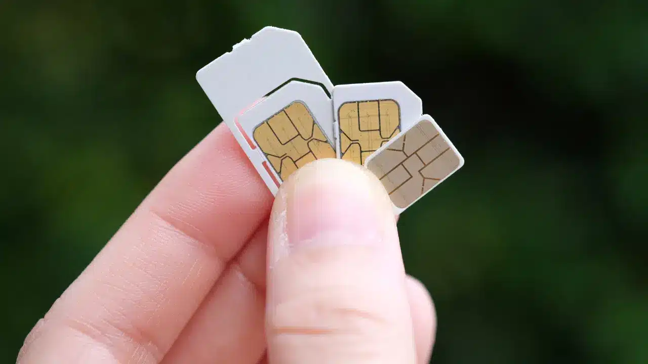 Hand holding multiple SIM cards of different sizes with a green background.