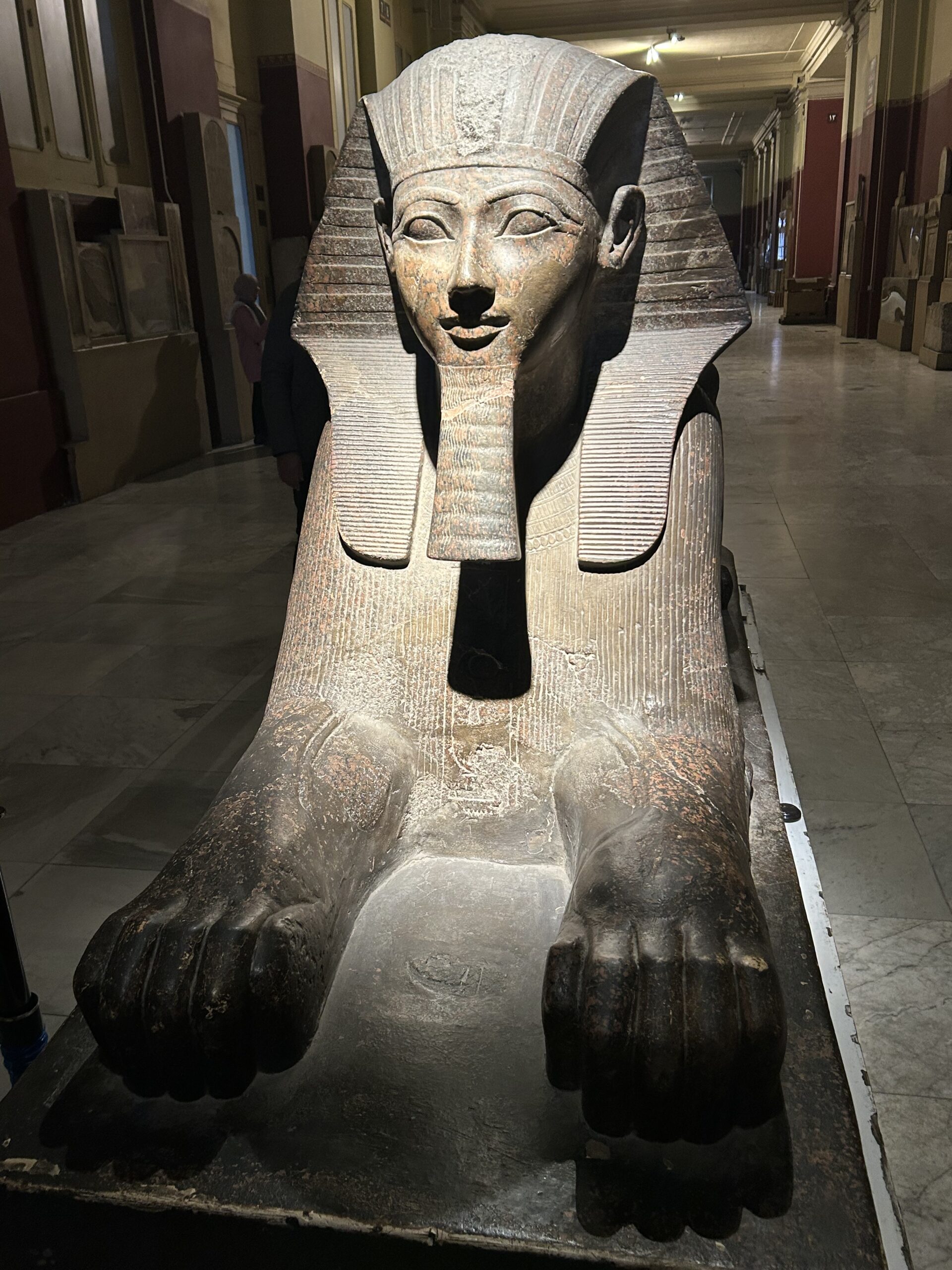 A powerful sphinx statue with the face of a pharaoh, displayed in the Old Egyptian Museum in Cairo. The statue has a human head with a traditional nemes headdress and a lion’s body, symbolizing royal strength and protection.