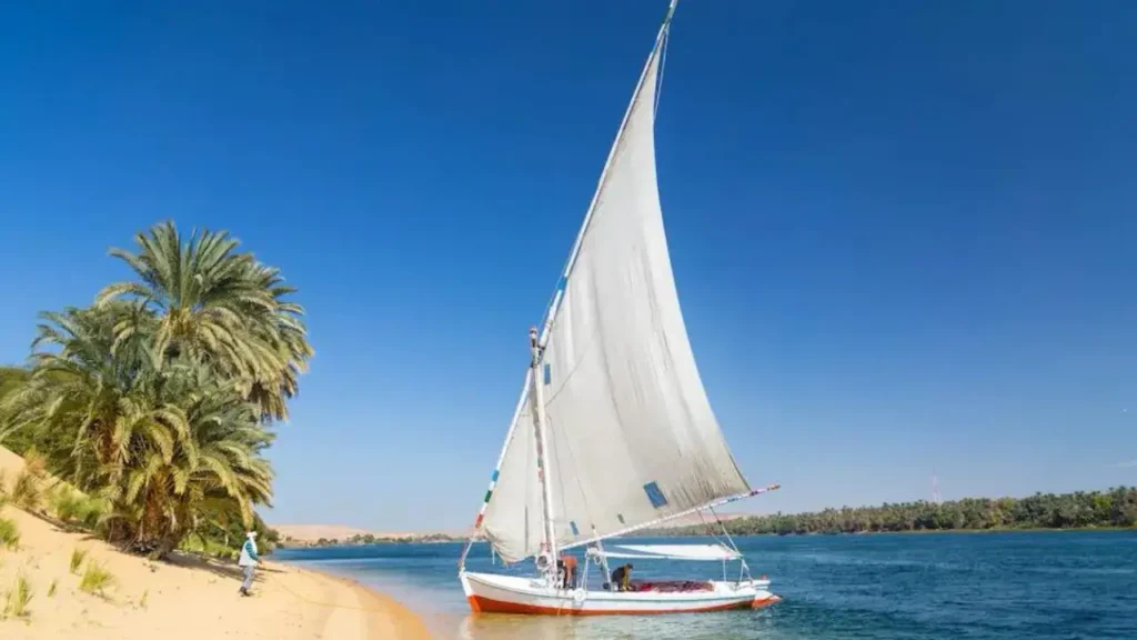 Traditional felucca sailing on the Nile River near a palm-lined shore