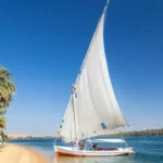Traditional felucca sailing on the Nile River near a palm-lined shore