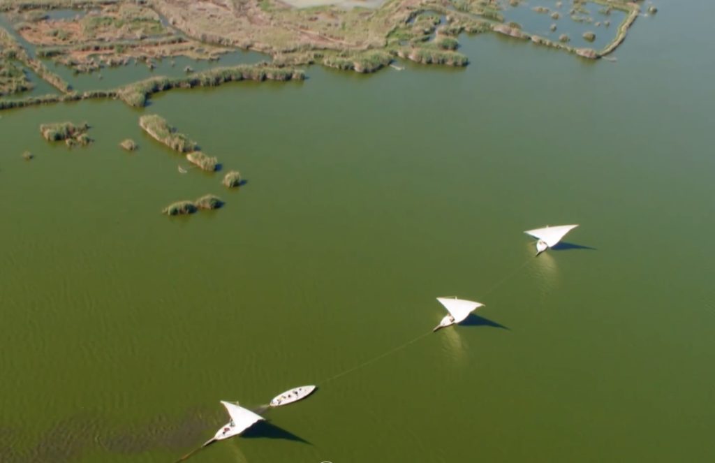 Traditional felucca sailboats navigating the Nile River near Aswan, Egypt, viewed from above