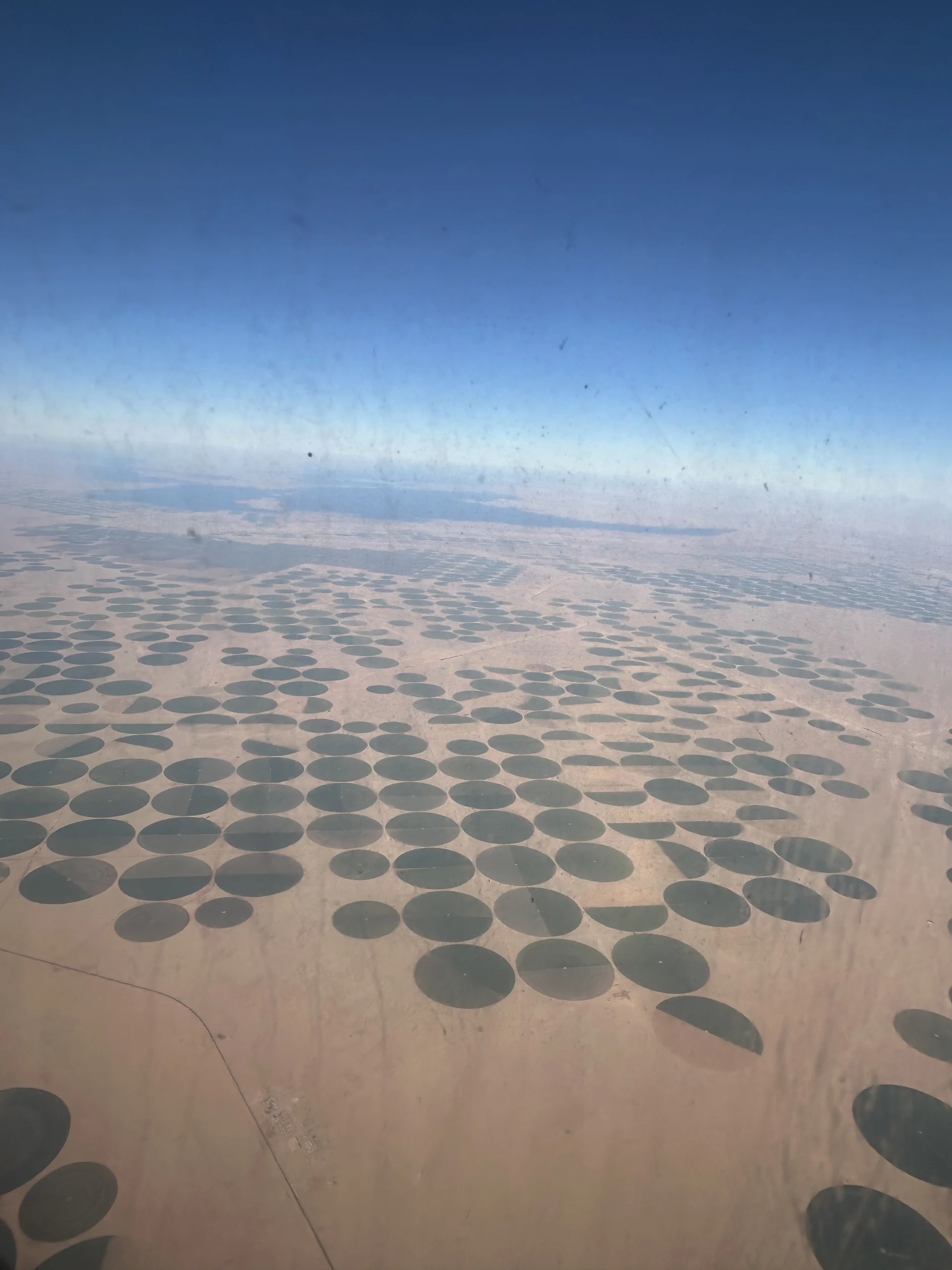 The Green Circles of the Sahara